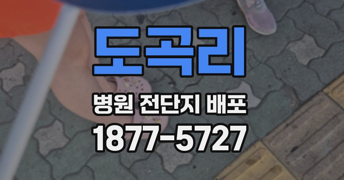 도곡리 병원 전단지 배포