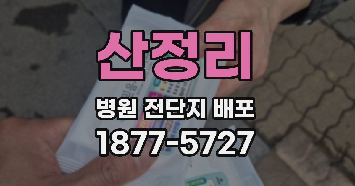 산정리 병원 전단지 배포