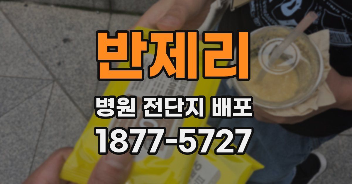 반제리 병원 전단지 배포