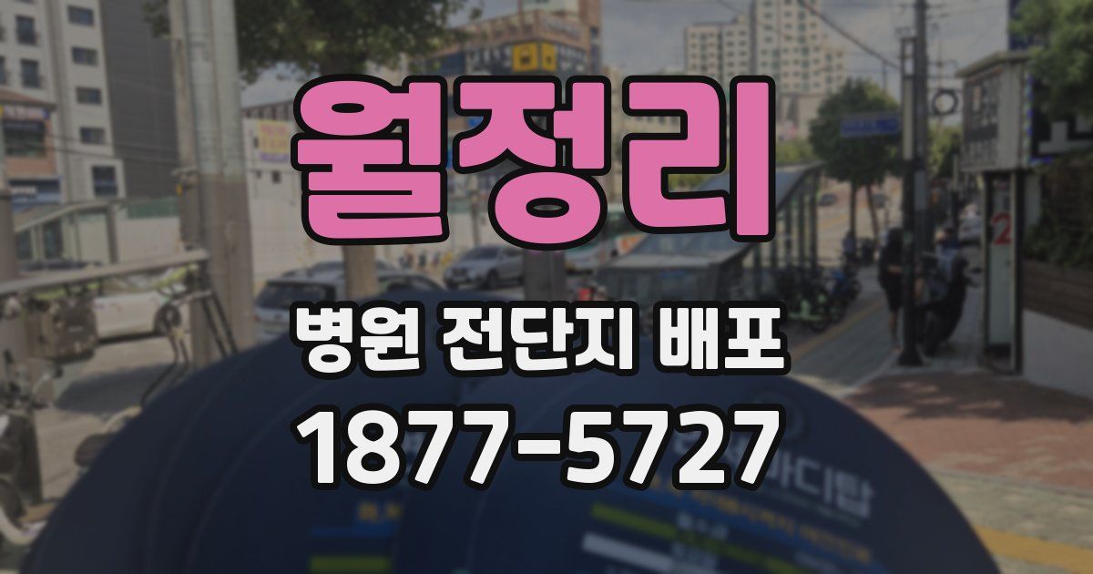 월정리 병원 전단지 배포