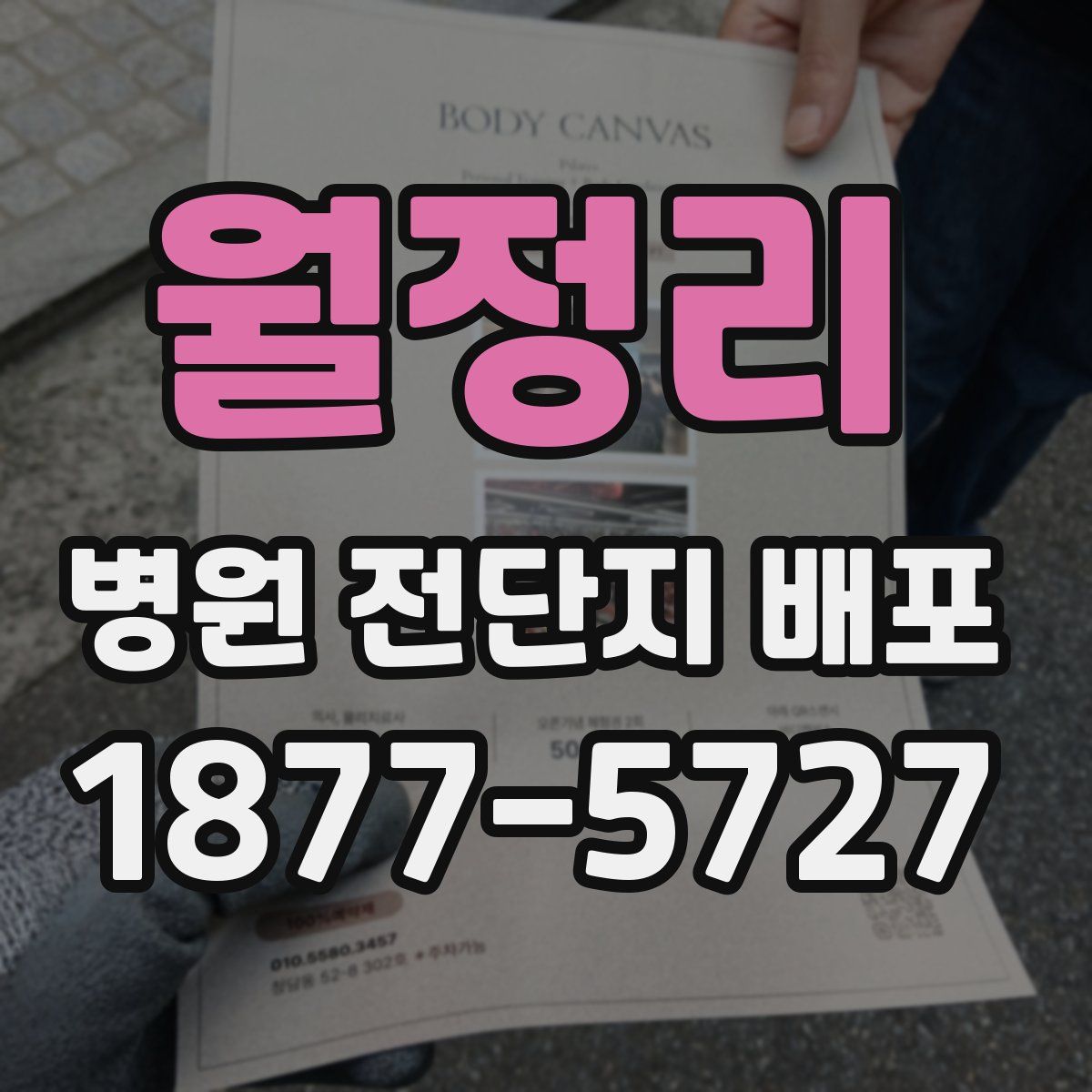 월정리 병원 전단지 배포