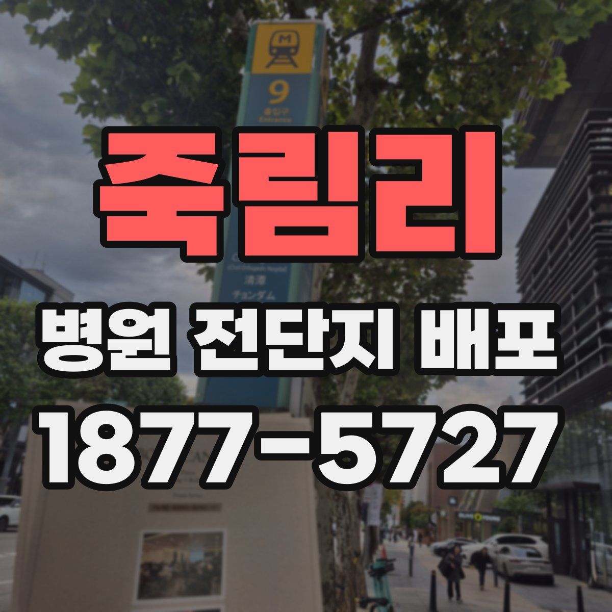 죽림리 병원 전단지 배포