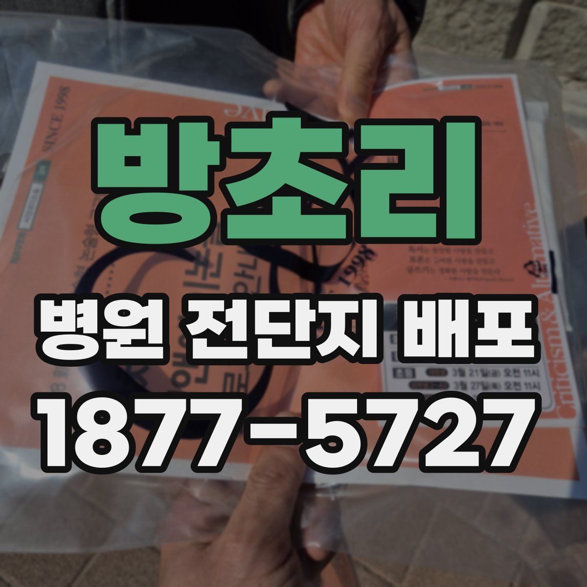 방초리 병원 전단지 배포