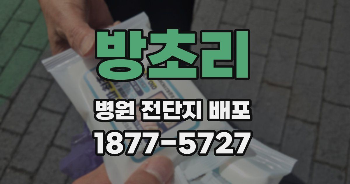 방초리 병원 전단지 배포