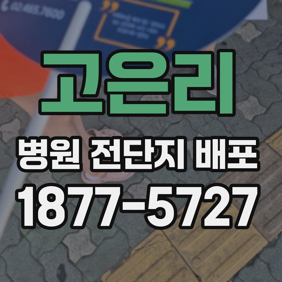 고은리 병원 전단지 배포