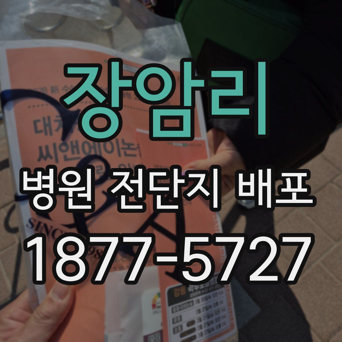 장암리 병원 전단지 배포