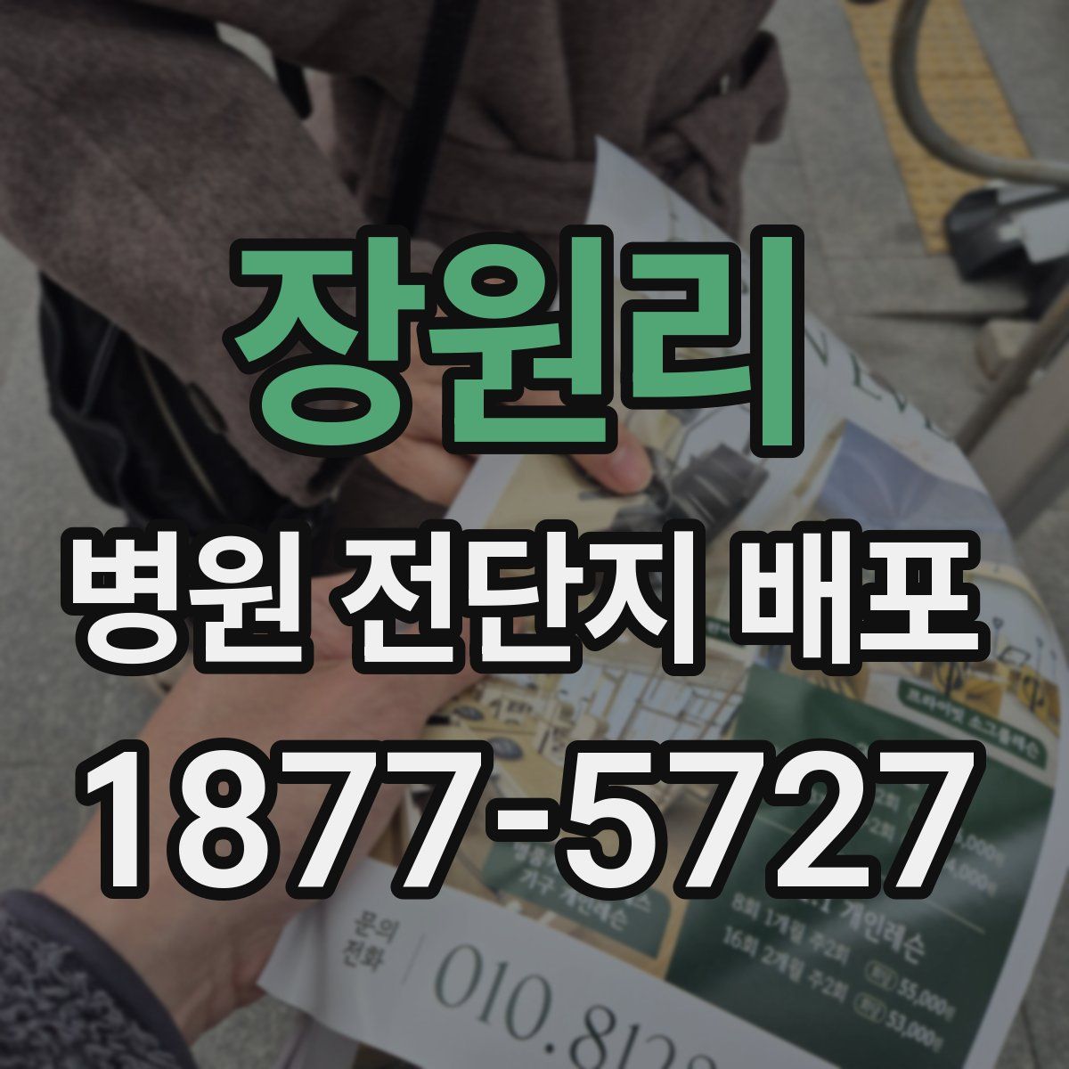 장원리 병원 전단지 배포