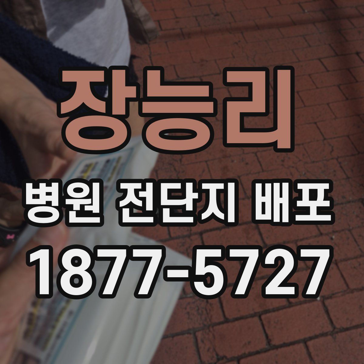 장능리 병원 전단지 배포