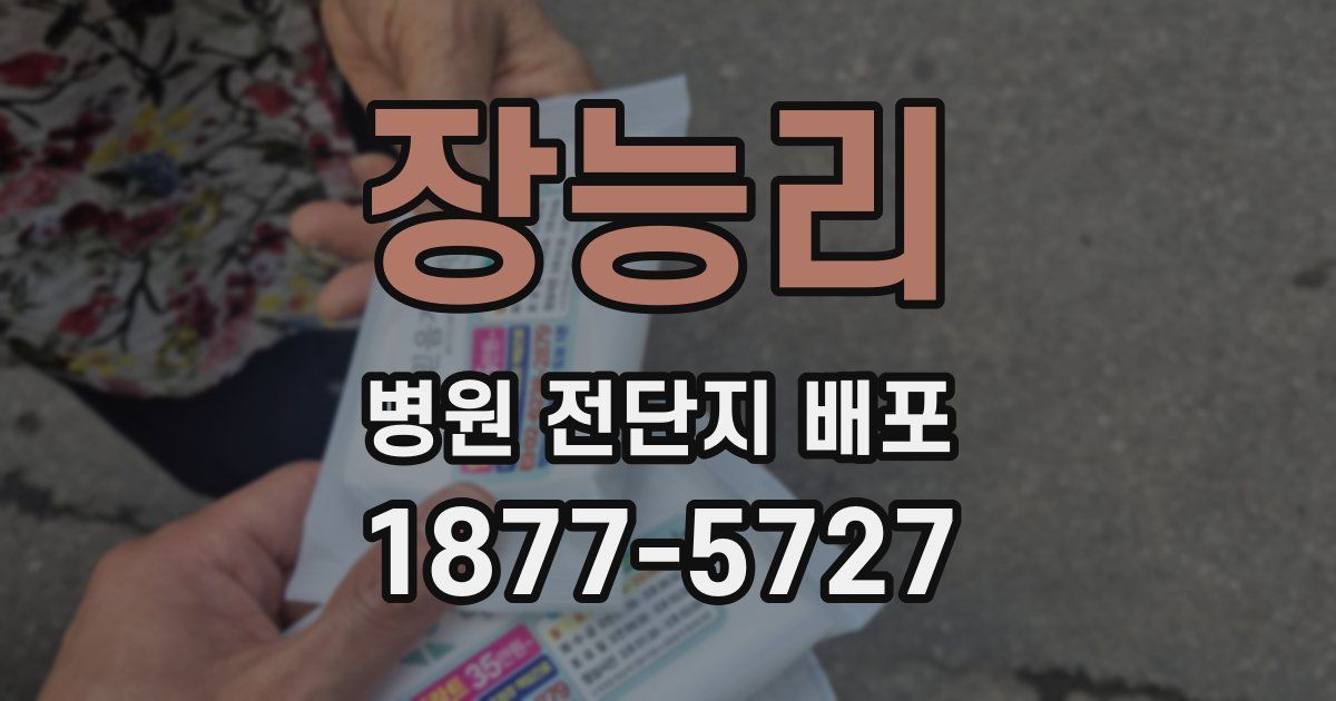 장능리 병원 전단지 배포
