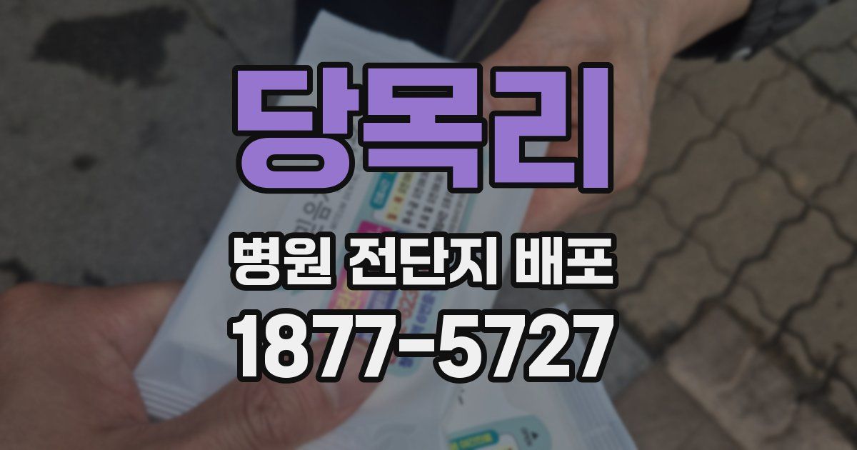 당목리 병원 전단지 배포