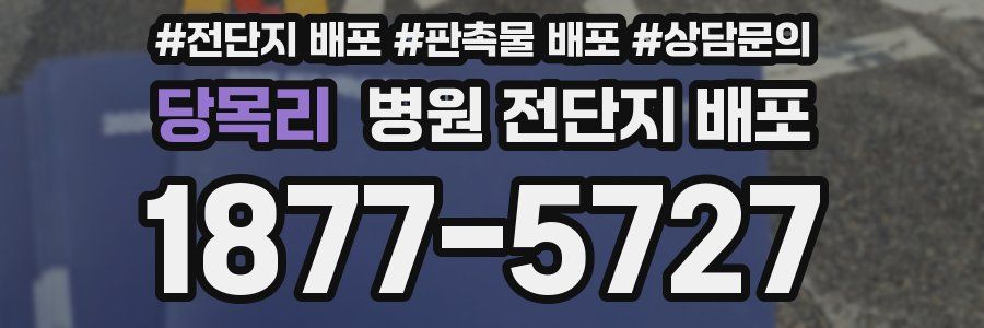 당목리 병원 전단지 배포