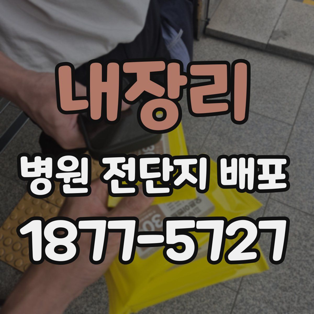 내장리 병원 전단지 배포