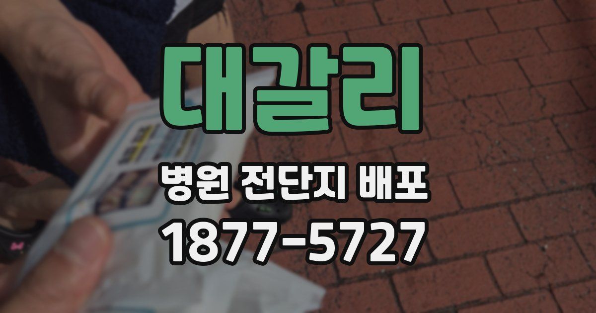 대갈리 병원 전단지 배포