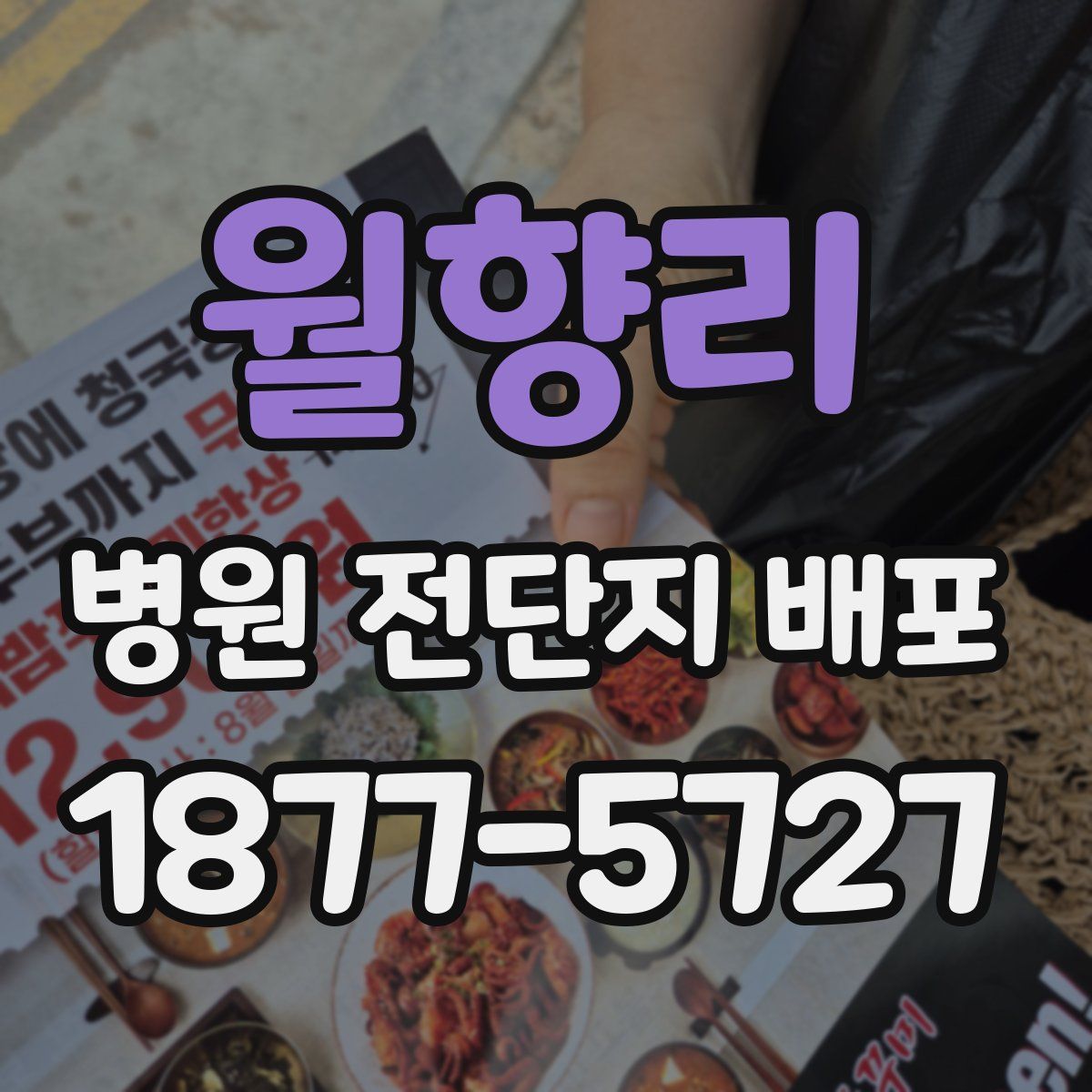 월향리 병원 전단지 배포