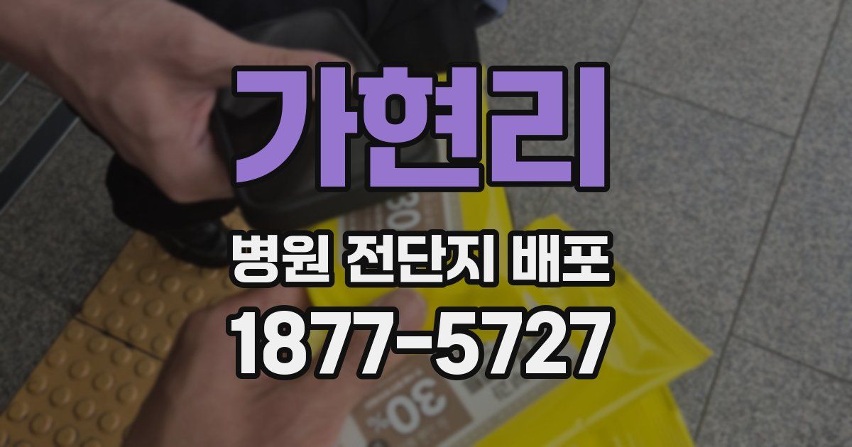 가현리 병원 전단지 배포