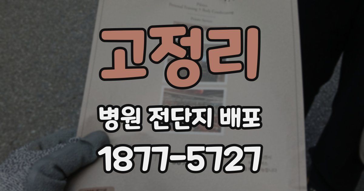 고정리 병원 전단지 배포