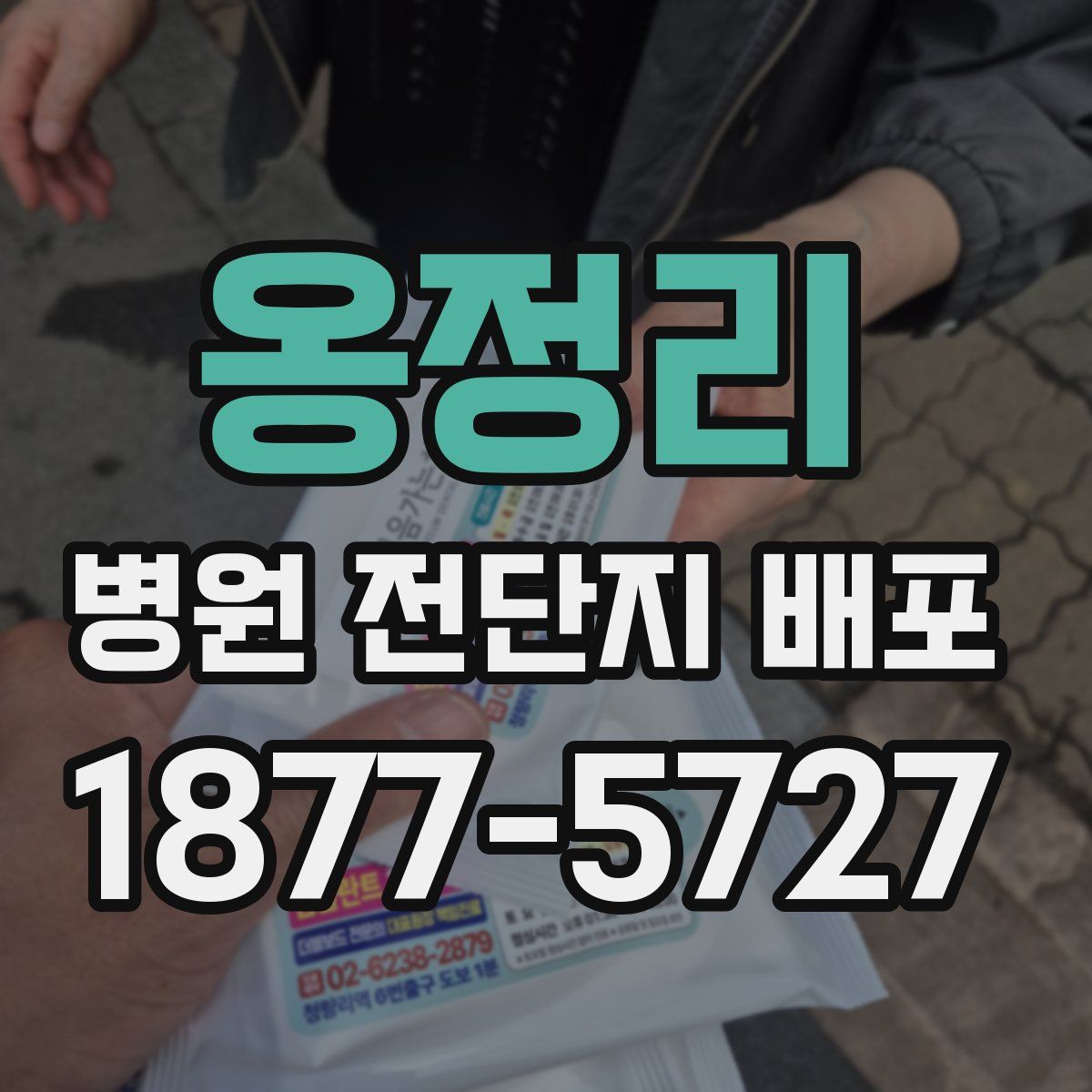옹정리 병원 전단지 배포