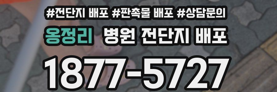 옹정리 병원 전단지 배포