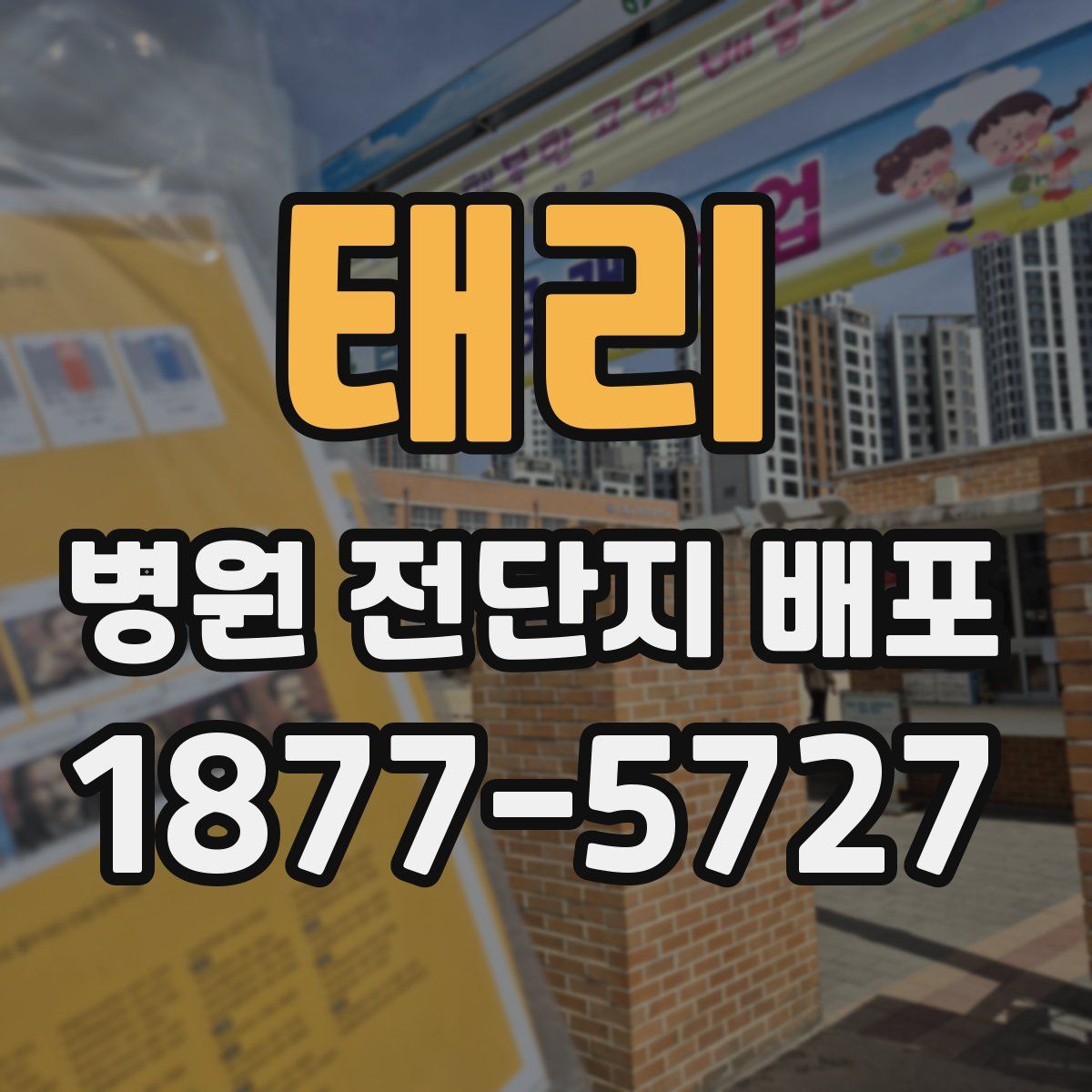 태리 병원 전단지 배포