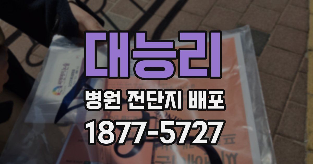 대능리 병원 전단지 배포