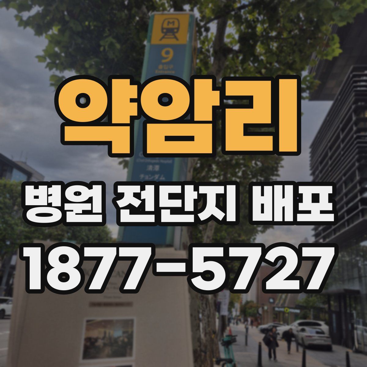 약암리 병원 전단지 배포