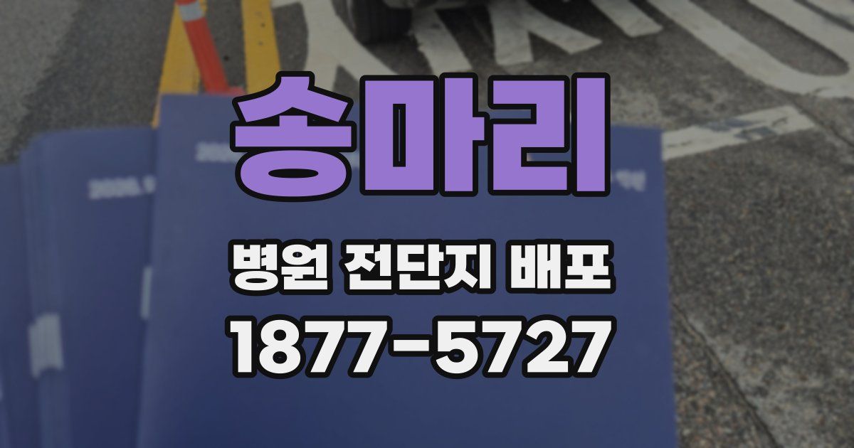 송마리 병원 전단지 배포