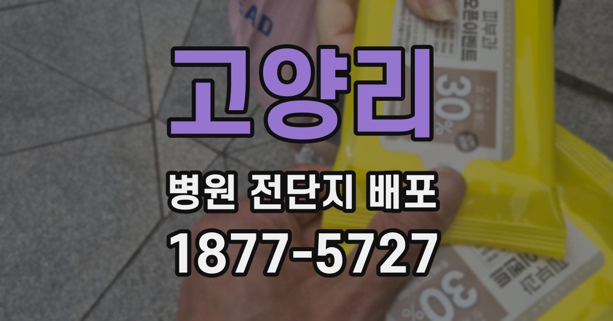 고양리 병원 전단지 배포