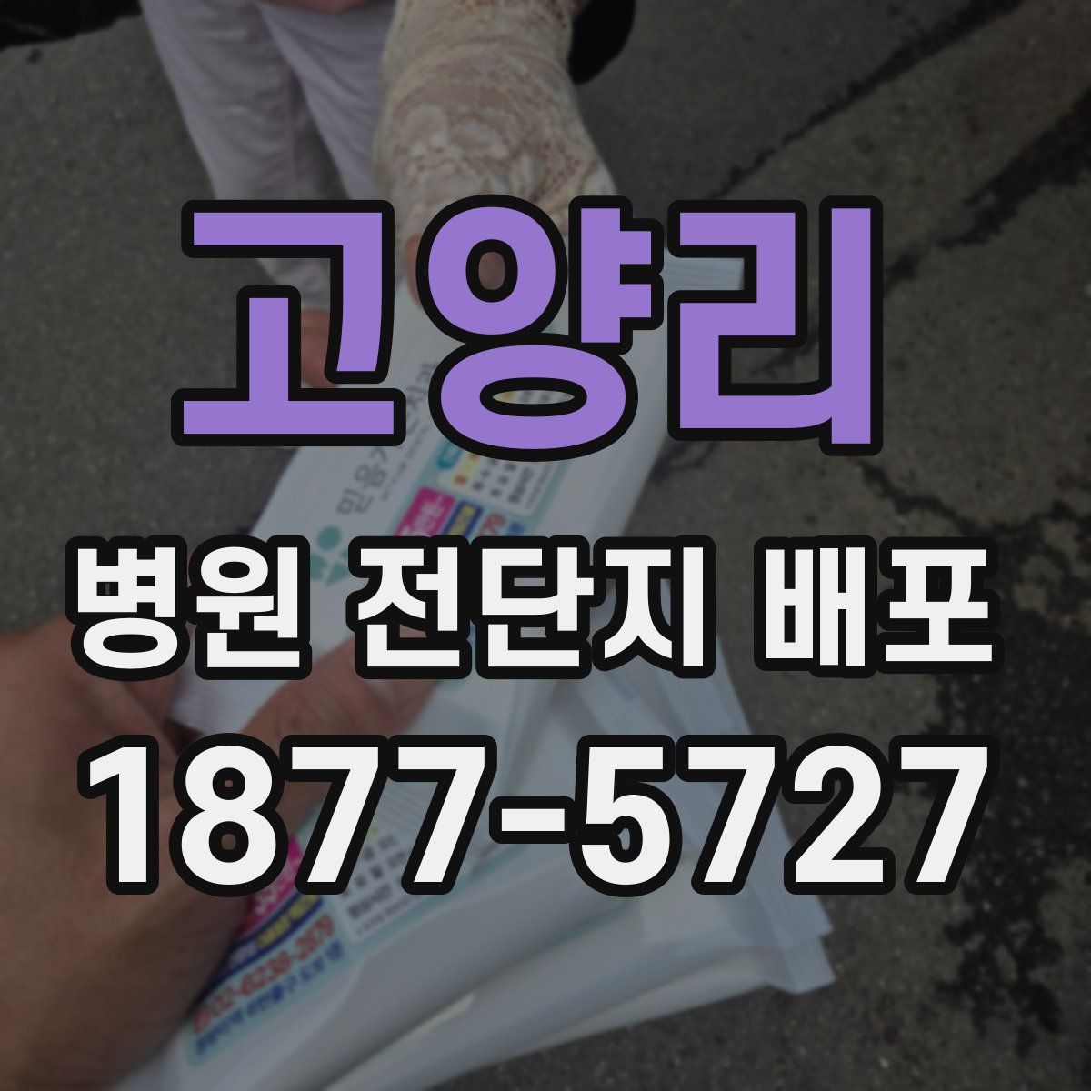 고양리 병원 전단지 배포