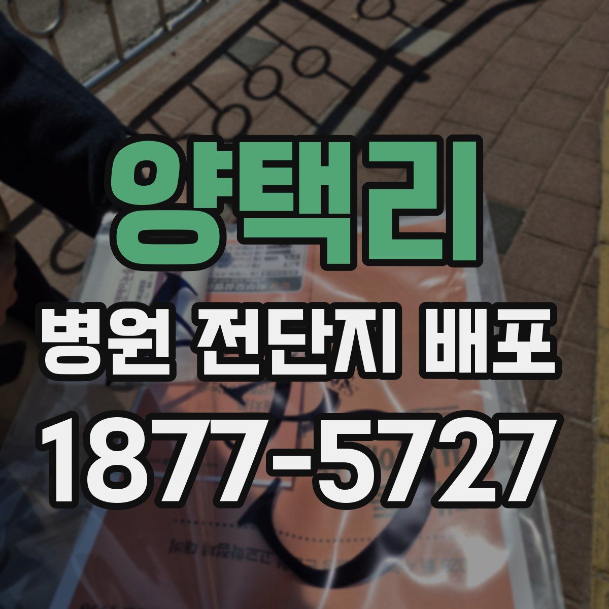 양택리 병원 전단지 배포