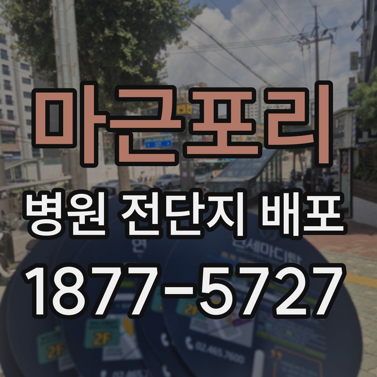 마근포리 병원 전단지 배포