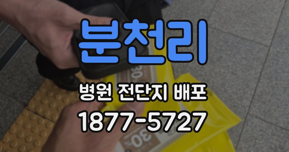 분천리 병원 전단지 배포
