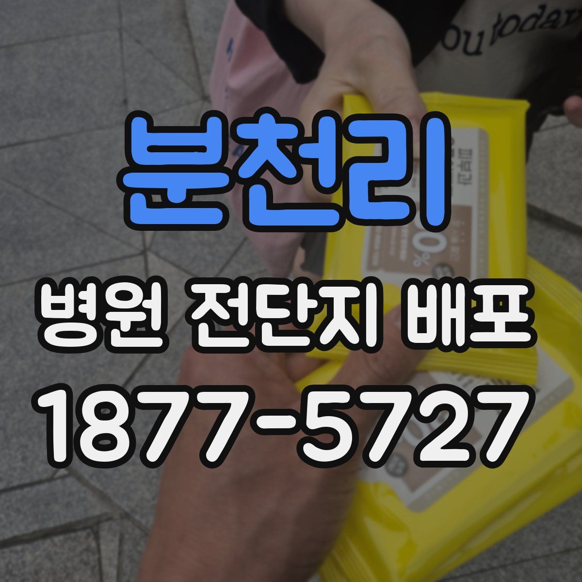 분천리 병원 전단지 배포