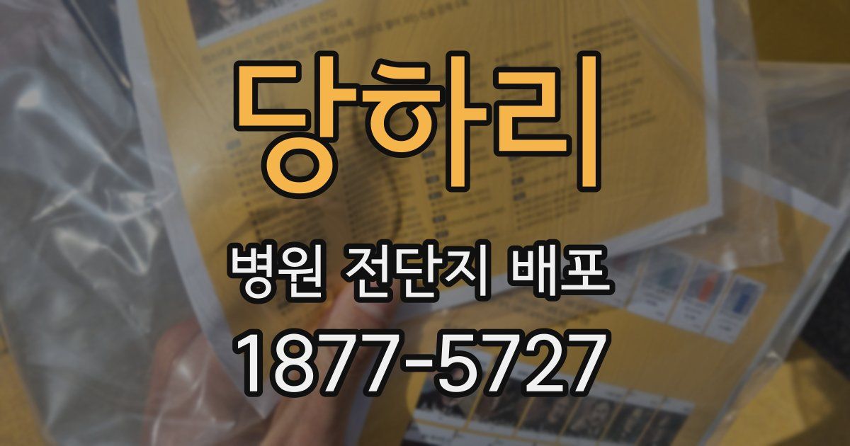 당하리 병원 전단지 배포