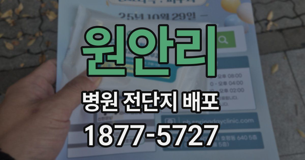 원안리 병원 전단지 배포