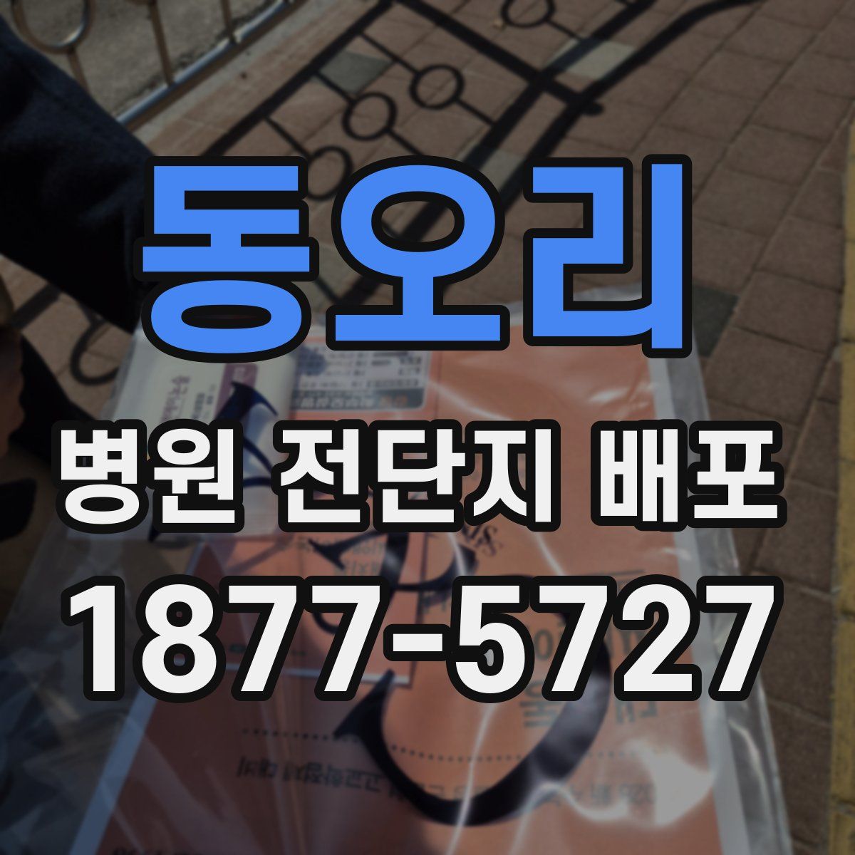 동오리 병원 전단지 배포