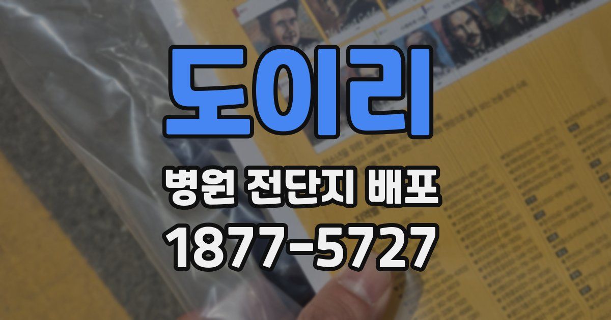 도이리 병원 전단지 배포