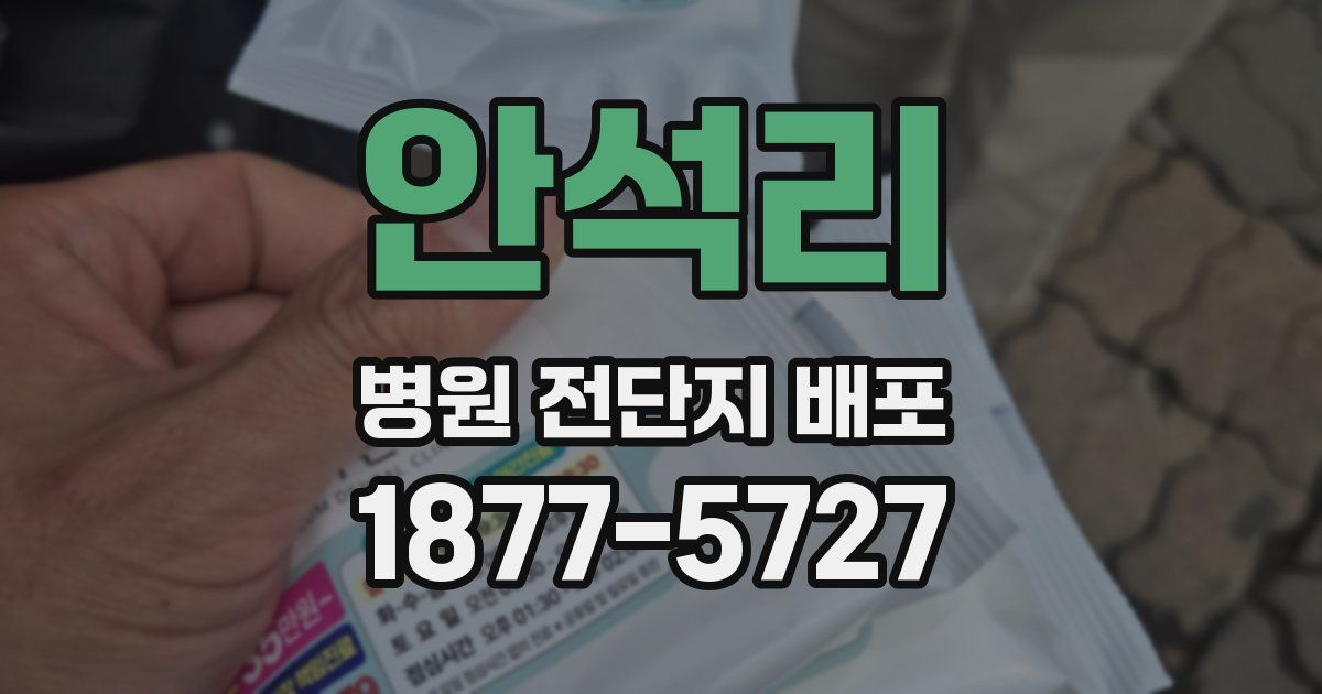안석리 병원 전단지 배포