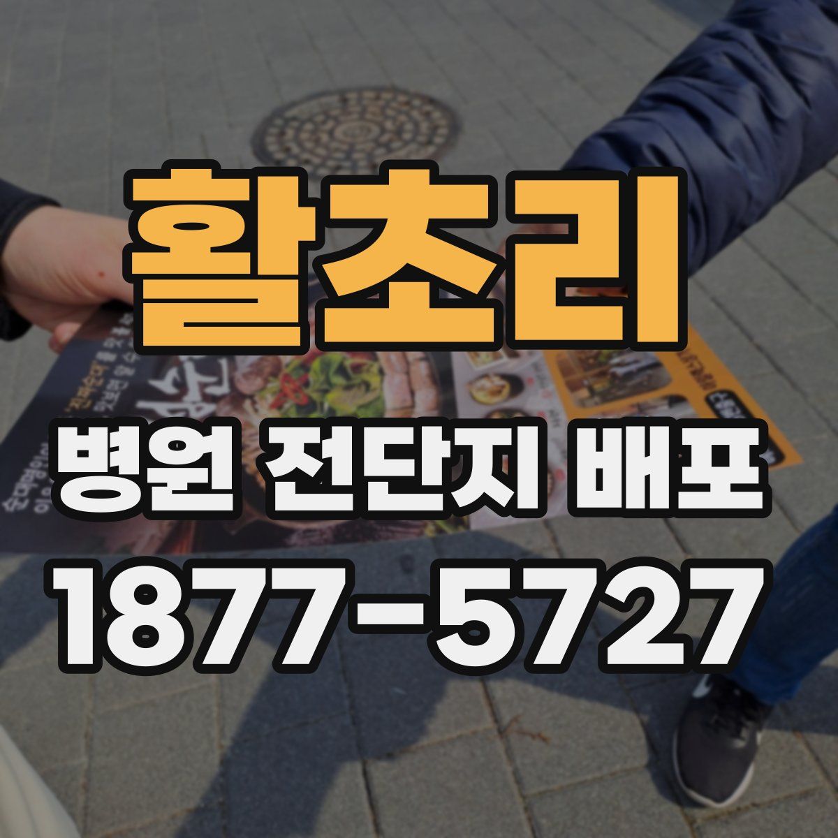 활초리 병원 전단지 배포