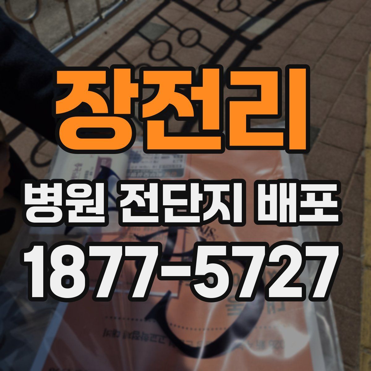 장전리 병원 전단지 배포