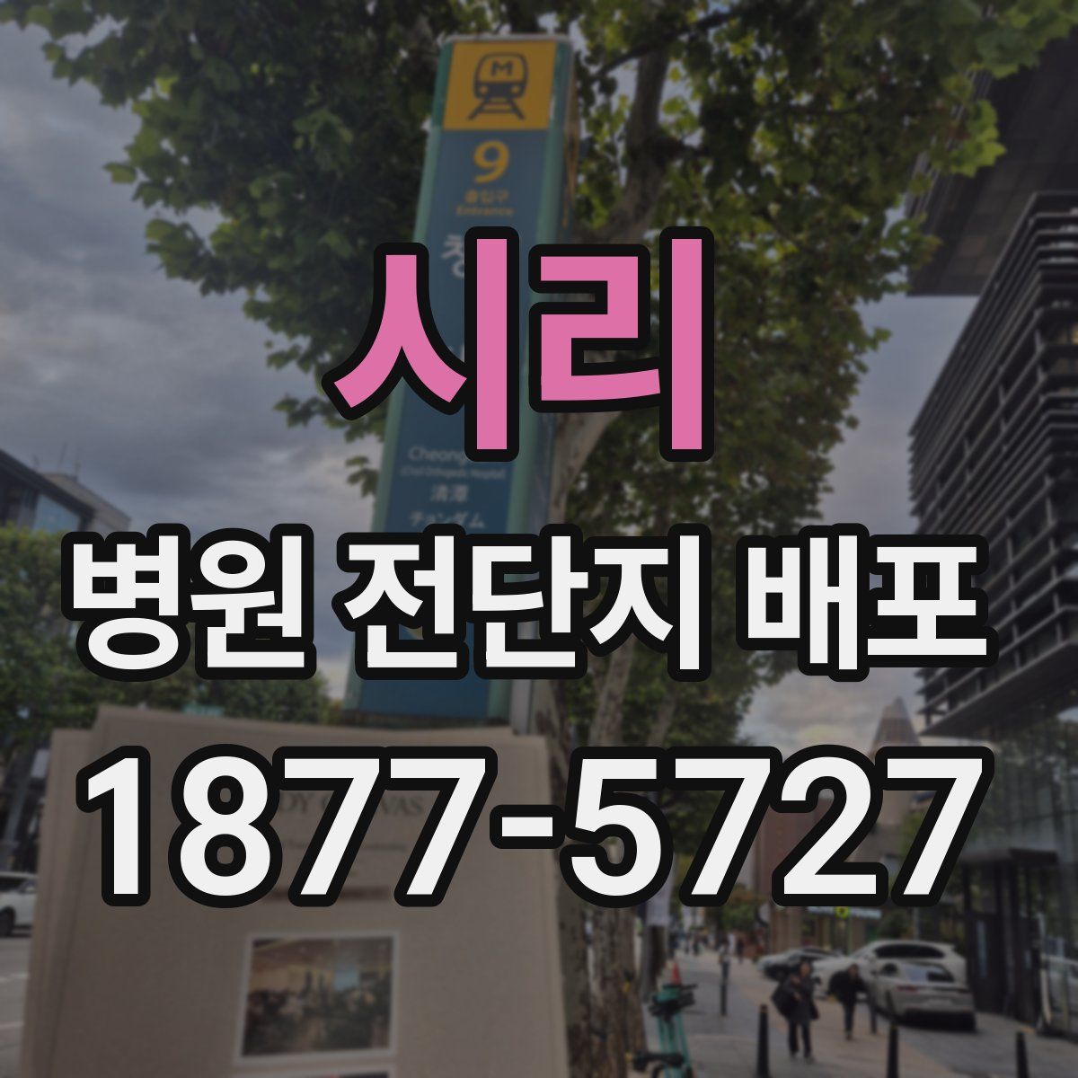 시리 병원 전단지 배포
