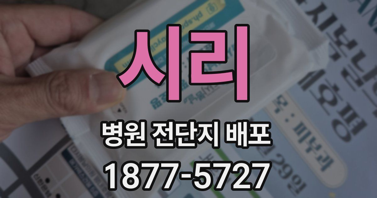 시리 병원 전단지 배포