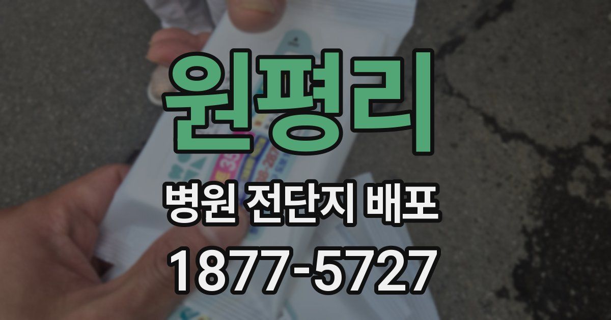 원평리 병원 전단지 배포