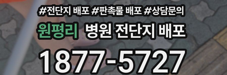 원평리 병원 전단지 배포