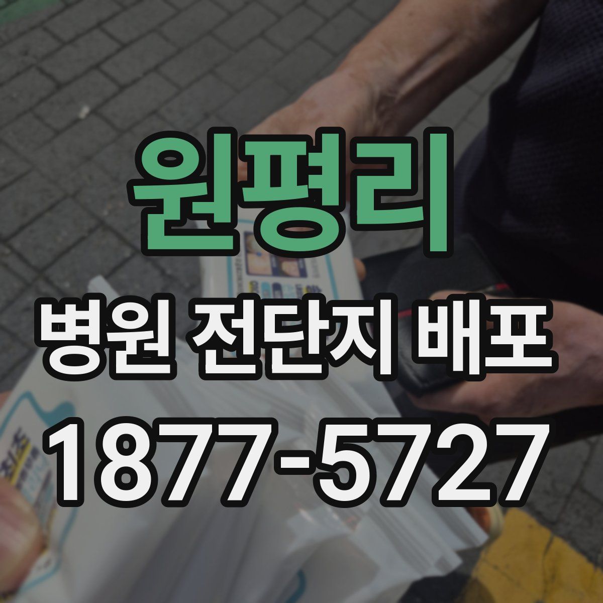 원평리 병원 전단지 배포