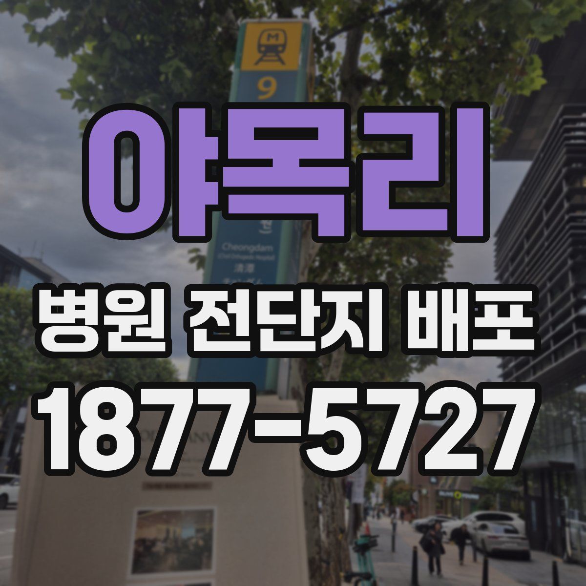 야목리 병원 전단지 배포