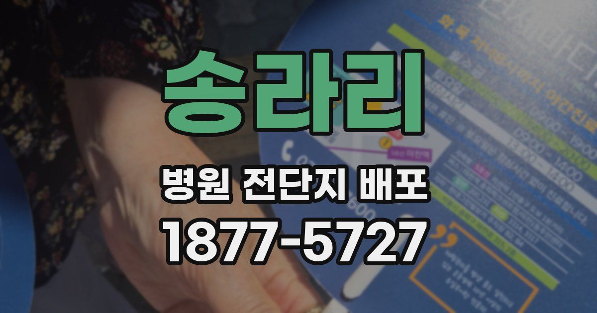 송라리 병원 전단지 배포
