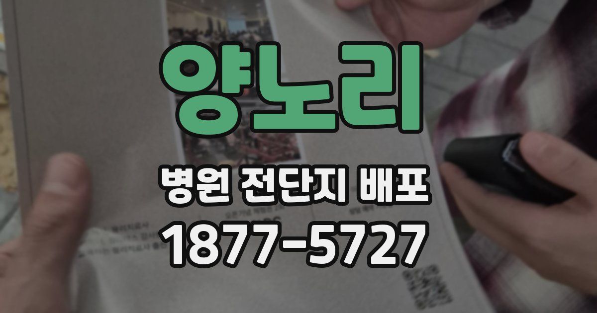 양노리 병원 전단지 배포