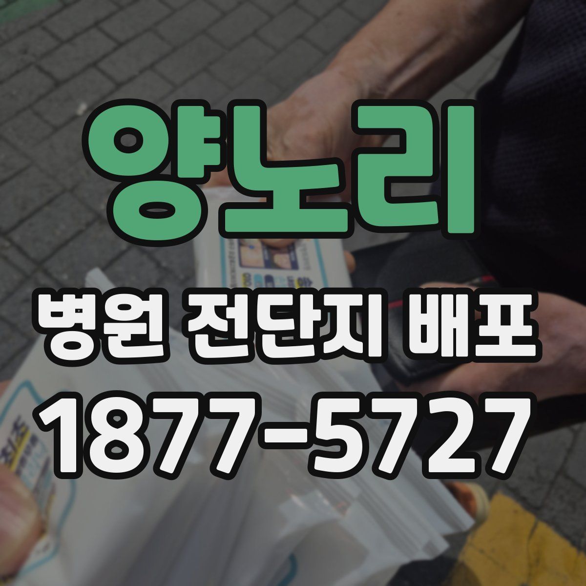 양노리 병원 전단지 배포