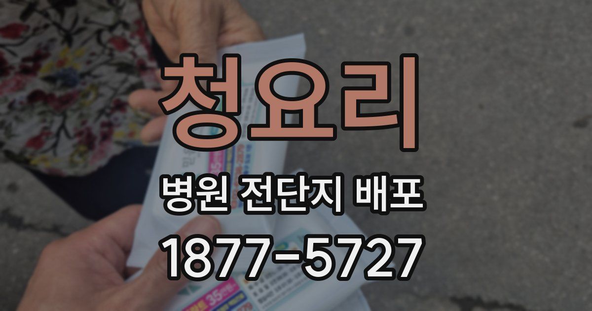 청요리 병원 전단지 배포