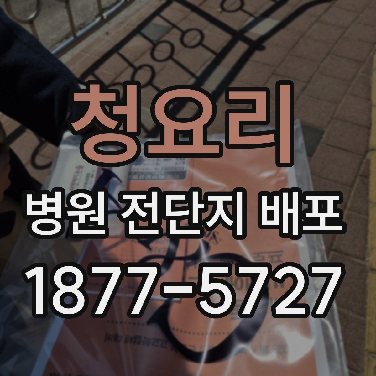 청요리 병원 전단지 배포